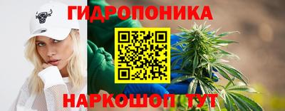 PSILOCYBIN Бугуруслан