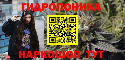 PSILOCYBIN Бугуруслан