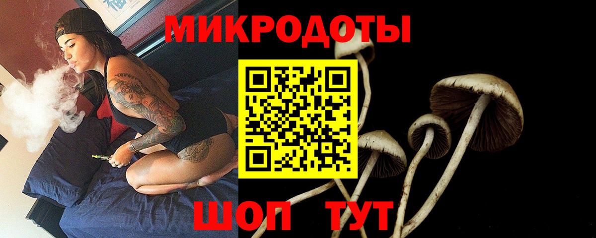 Тельмана  Галлюциногенные грибы мухоморы  Вход с VPN 