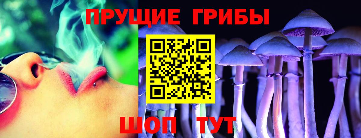 Псилоцибиновые грибы GOLDEN TEACHER Тельмана